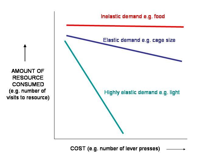 File:Consumer demand curves for animals.jpg