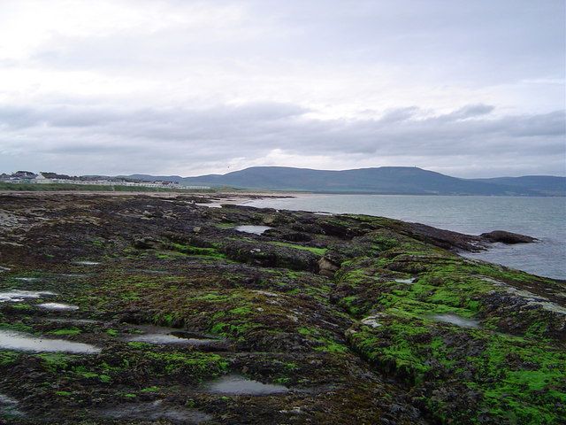 File:Embo Beach - geograph.org.uk - 518945.jpg