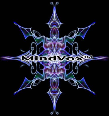 File:MindVox2007.jpg