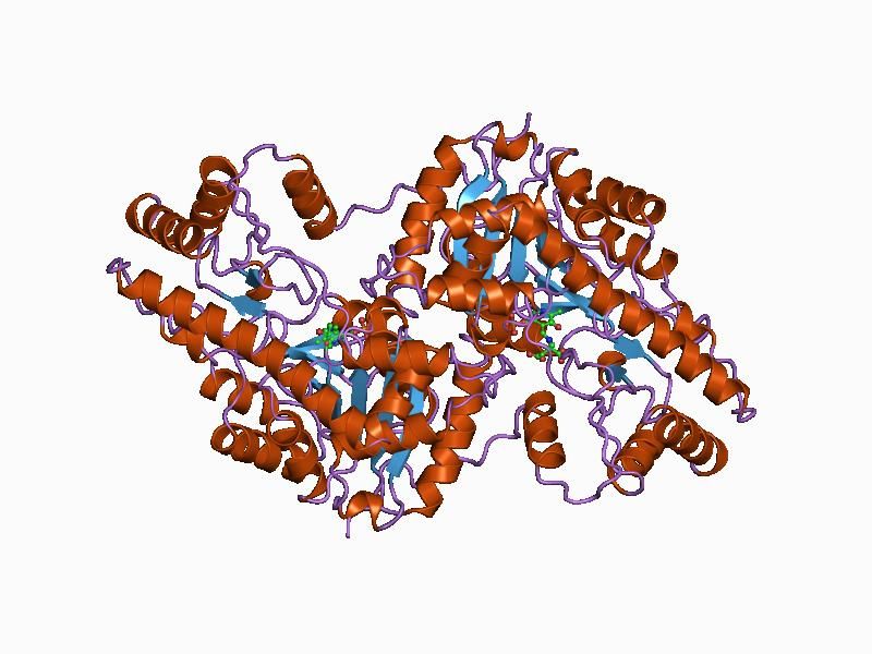 File:PDB 1ajs EBI.jpg