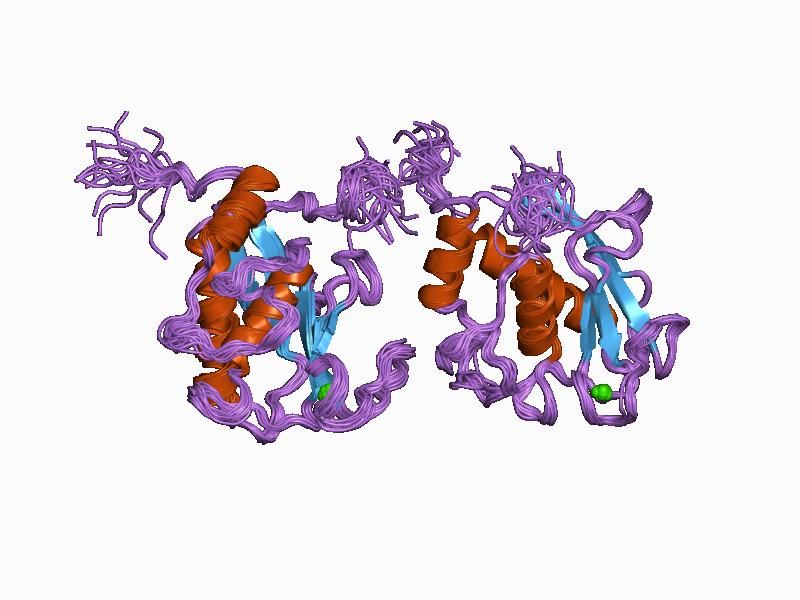 File:PDB 1ayk EBI.jpg