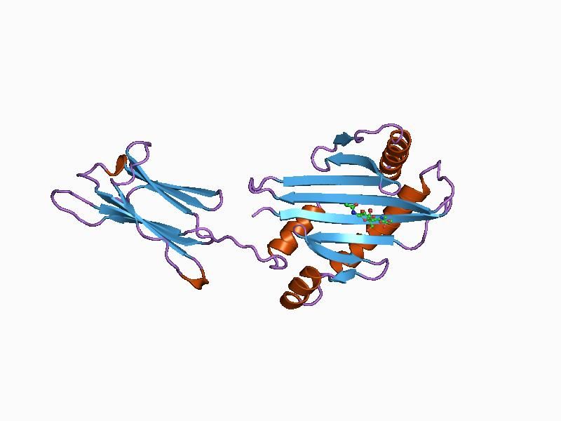 File:PDB 1b3j EBI.jpg