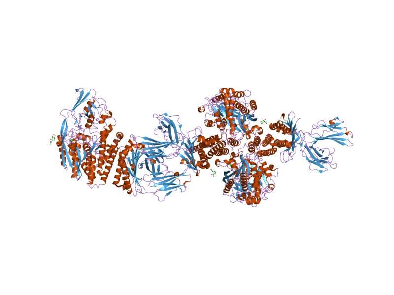 File:PDB 1de4 EBI.jpg