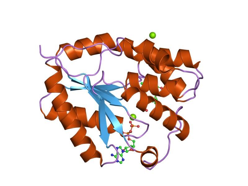 File:PDB 1e9d EBI.jpg