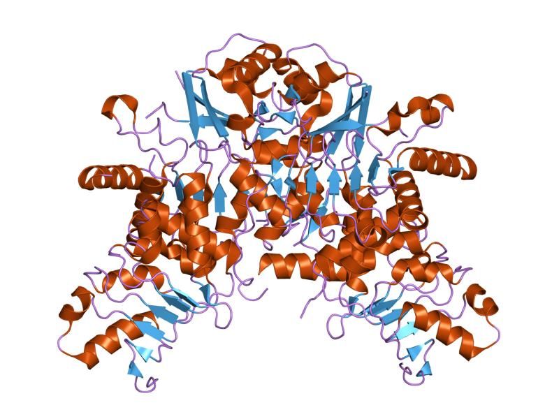 File:PDB 1ft8 EBI.jpg