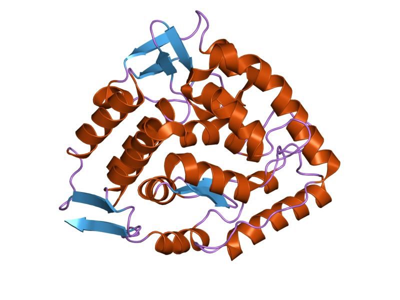 File:PDB 1j8t EBI.jpg