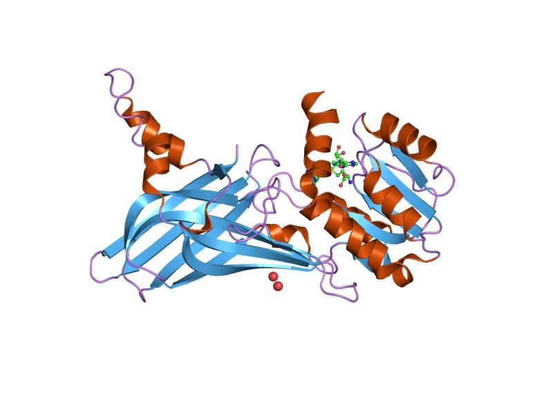 File:PDB 1ori EBI.jpg