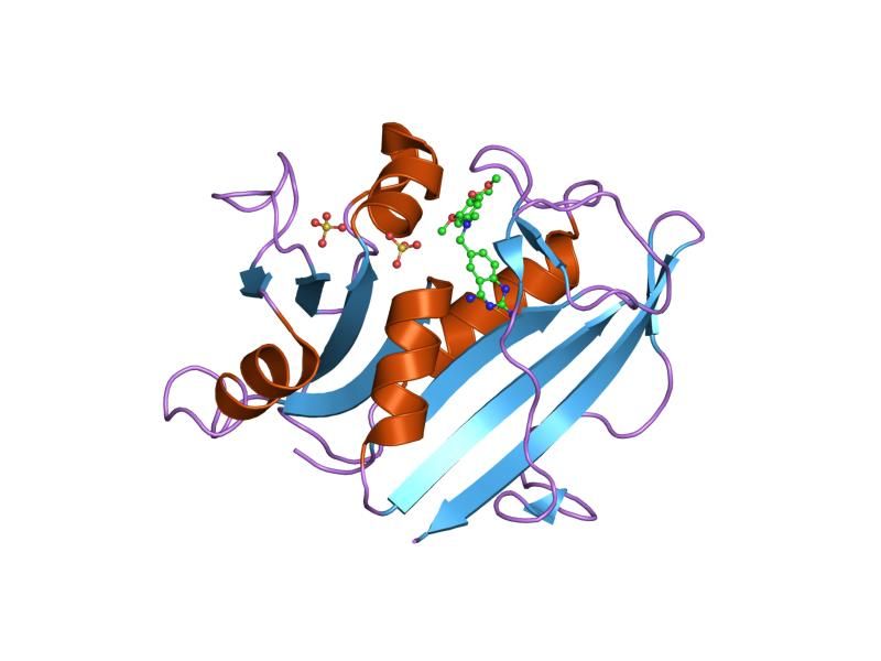 File:PDB 1s3u EBI.jpg