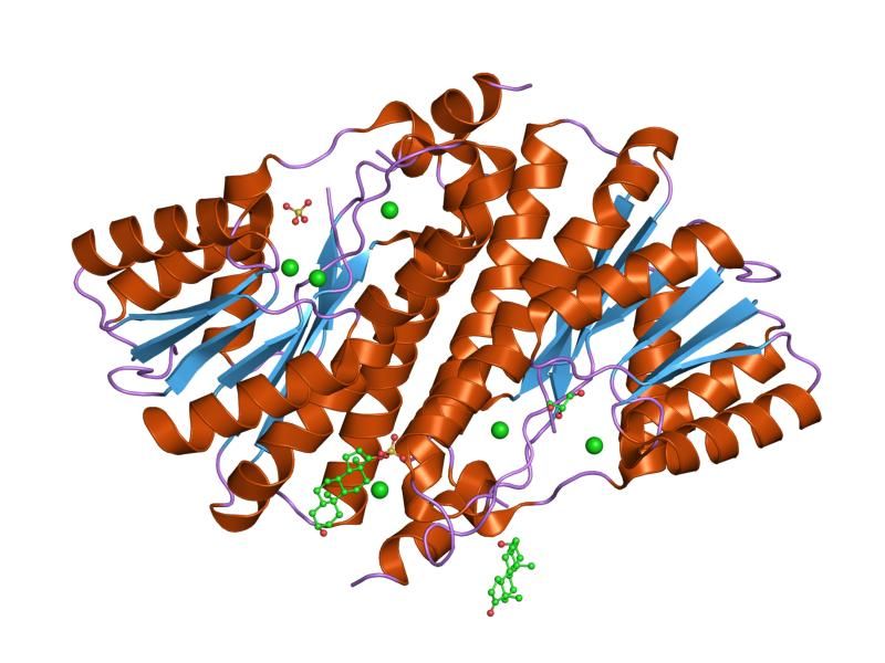 File:PDB 1yb1 EBI.jpg