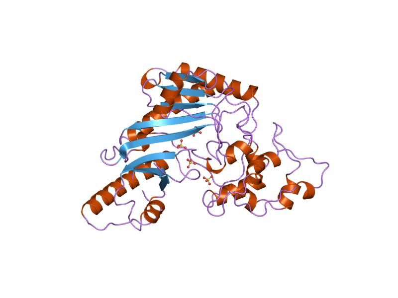 File:PDB 2crk EBI.jpg