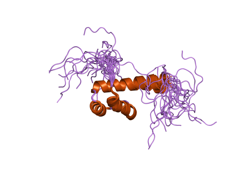 File:PDB 2dmq EBI.png