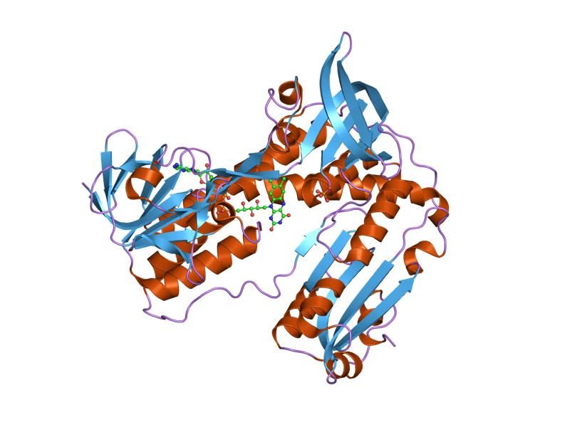 File:PDB 3grs EBI.jpg