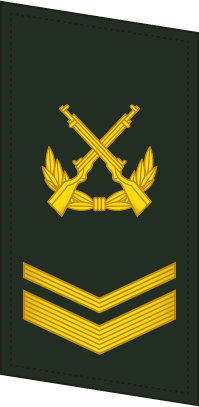 File:PLAGF-Collar-0705-SSG.png