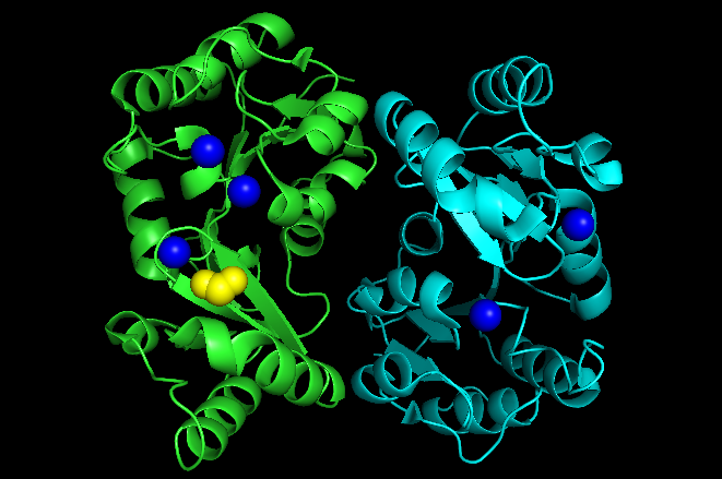 File:Phosphoglycolate Phosphatase.png