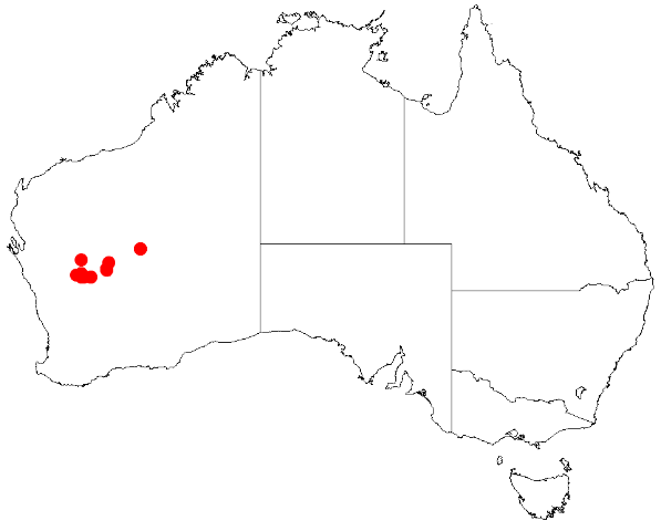 File:Acacia burrowsianaDistMap144.png