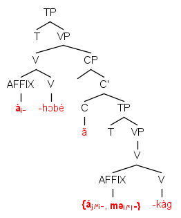 File:Akoose log and reg 2.png