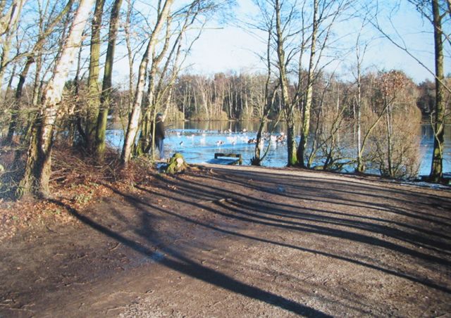 File:Allostock - Shakerley Mere.jpg