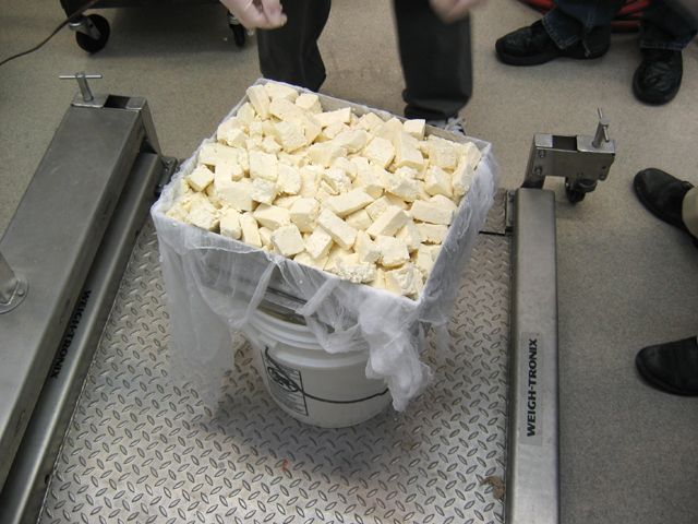 File:Curd Mold.jpg