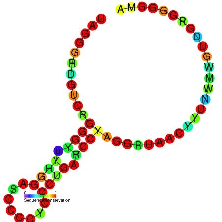 File:GP knot1 secondary structure.jpg