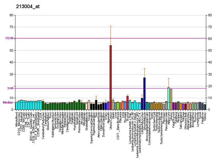 File:PBB GE ANGPTL2 213004 at fs.png