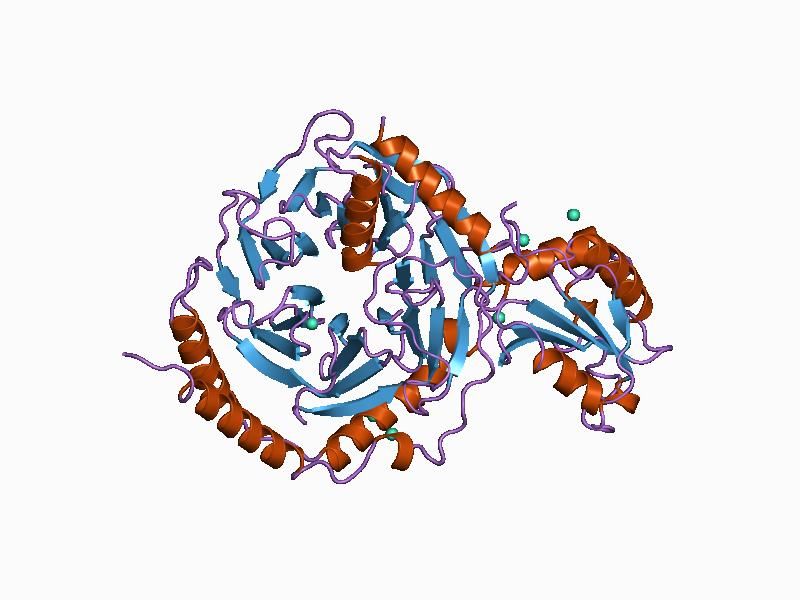 File:PDB 1b9y EBI.jpg