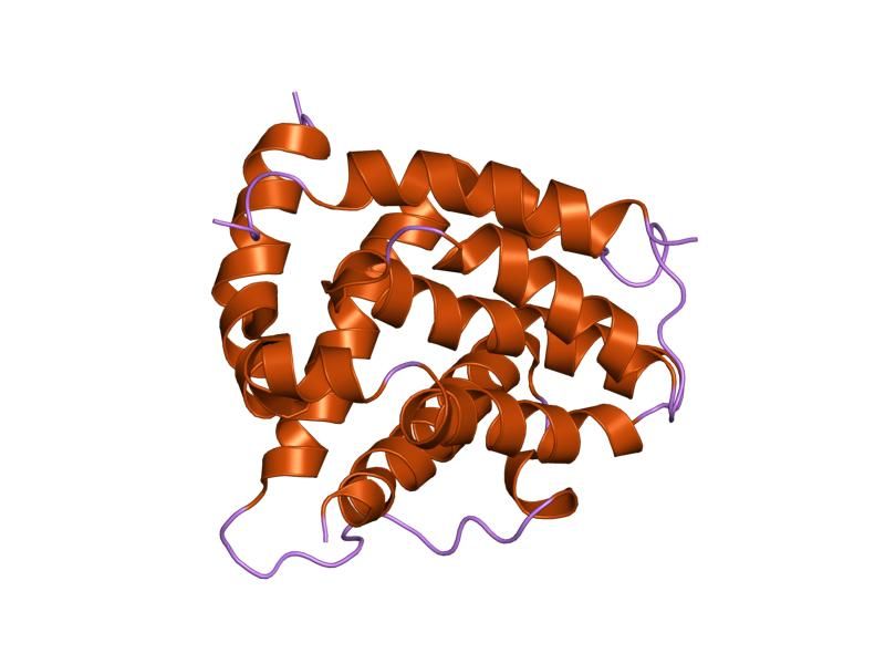 File:PDB 1g5j EBI.jpg