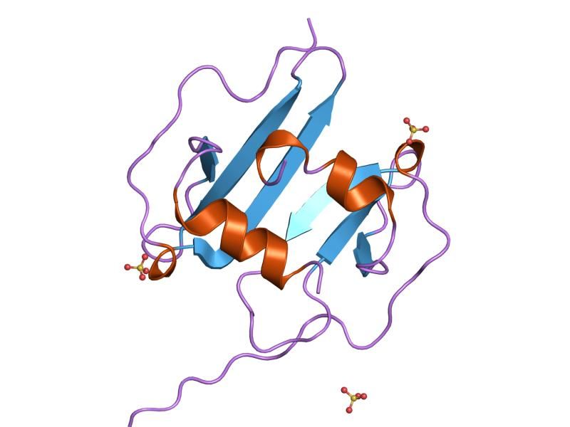 File:PDB 1qg7 EBI.jpg