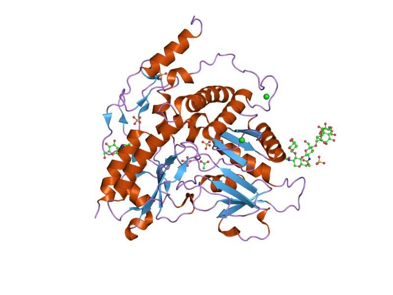 File:PDB 2hor EBI.jpg