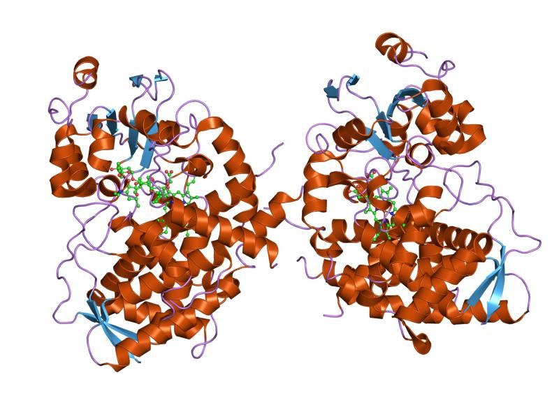 File:PDB 2j0d EBI.jpg