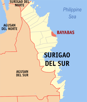 File:Ph locator surigao del sur bayabas.png