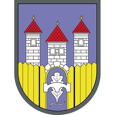 File:Wappen PzPiBtl 1.jpg