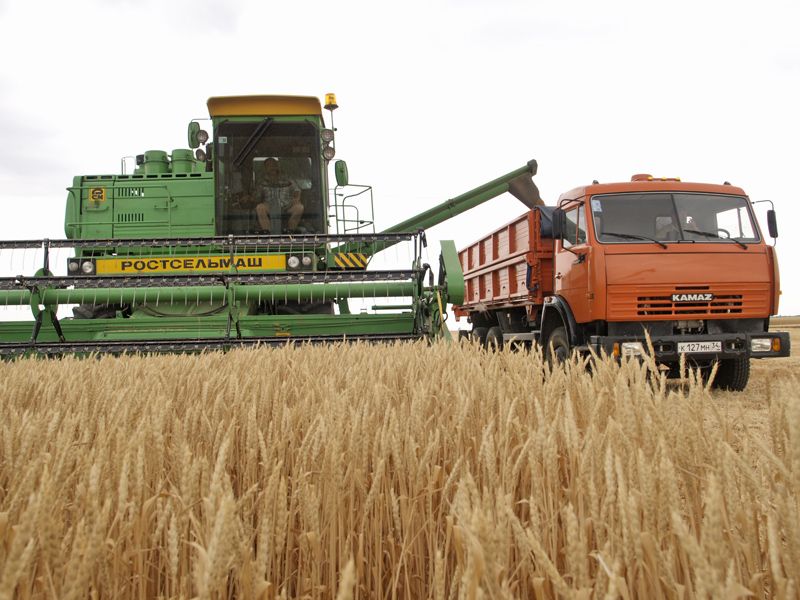 File:Agriculture in Volgograd Oblast 001.JPG