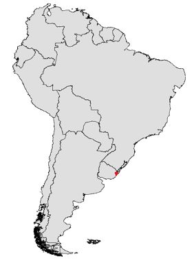 File:Austrolebias charrua - distribución.jpg