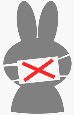 File:Blocked rabbit.png