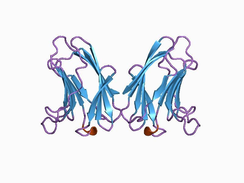 File:PDB 1bkz EBI.jpg