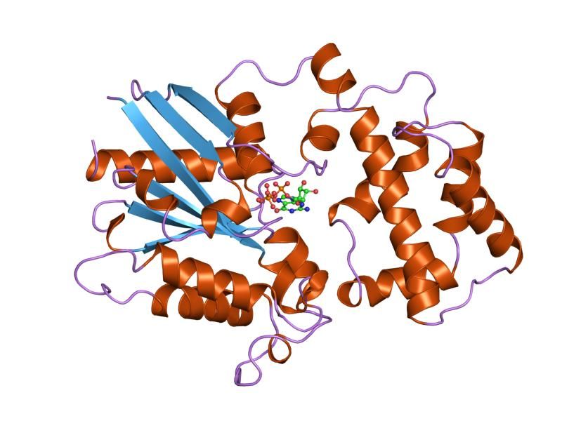 File:PDB 1git EBI.jpg