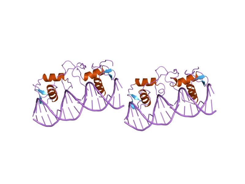 File:PDB 1hcq EBI.jpg