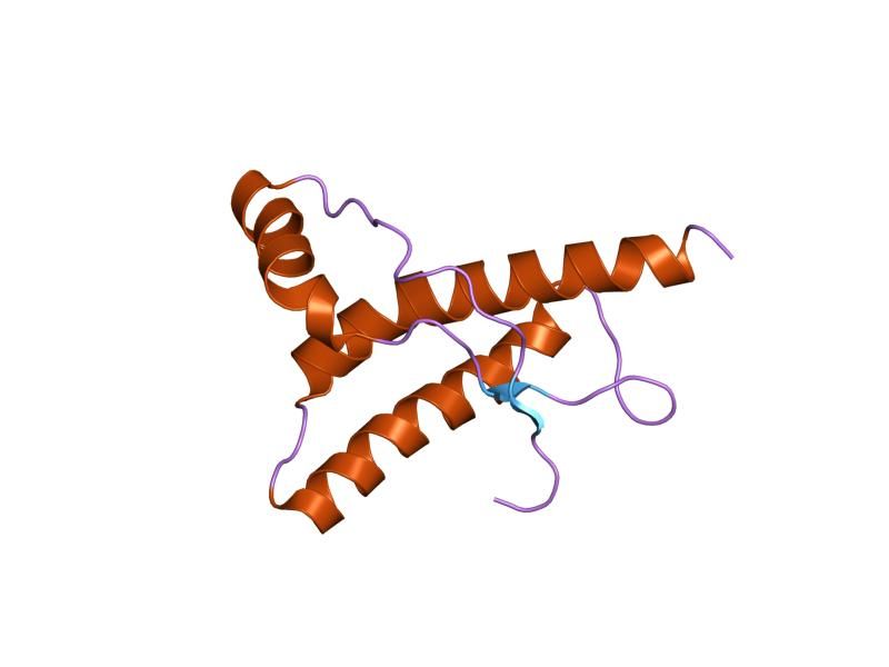 File:PDB 1hjm EBI.jpg