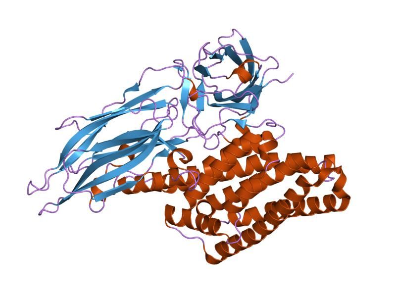 File:PDB 1ji6 EBI.jpg