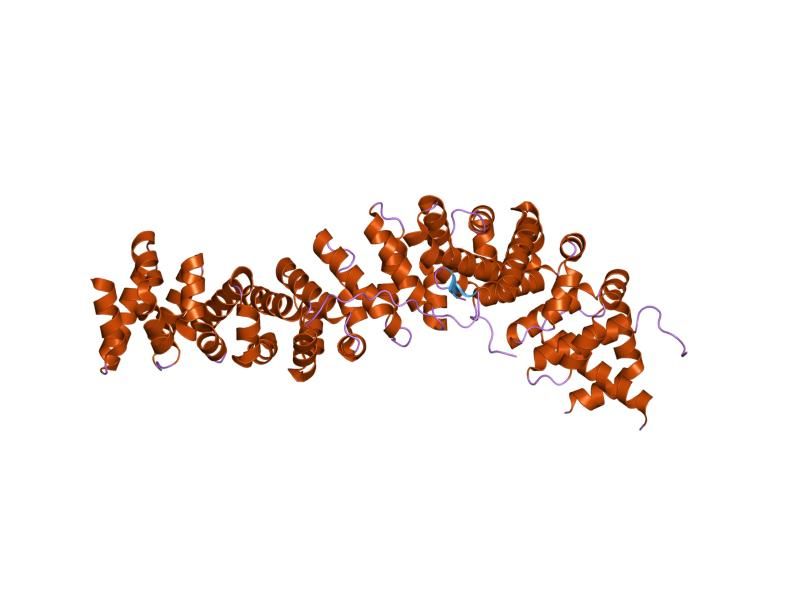 File:PDB 1m1e EBI.jpg