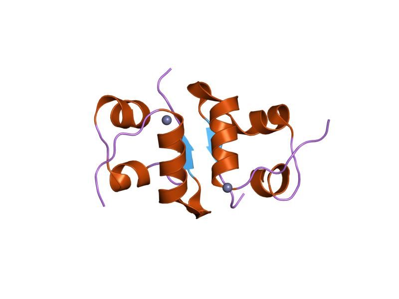 File:PDB 1mso EBI.jpg