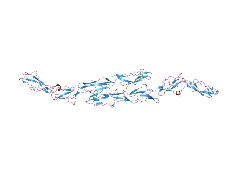 File:PDB 1ok3 EBI.jpg