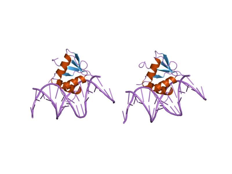 File:PDB 1pue EBI.jpg