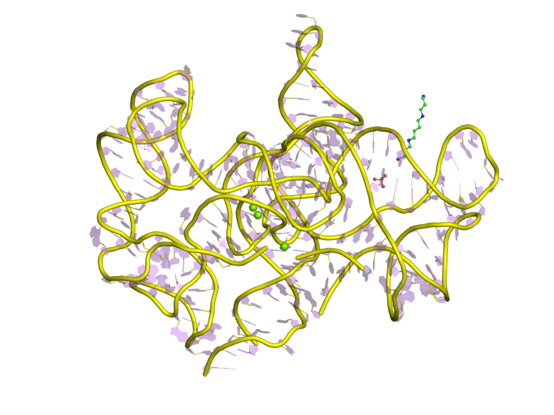 File:PDB 1y0q EBI.png