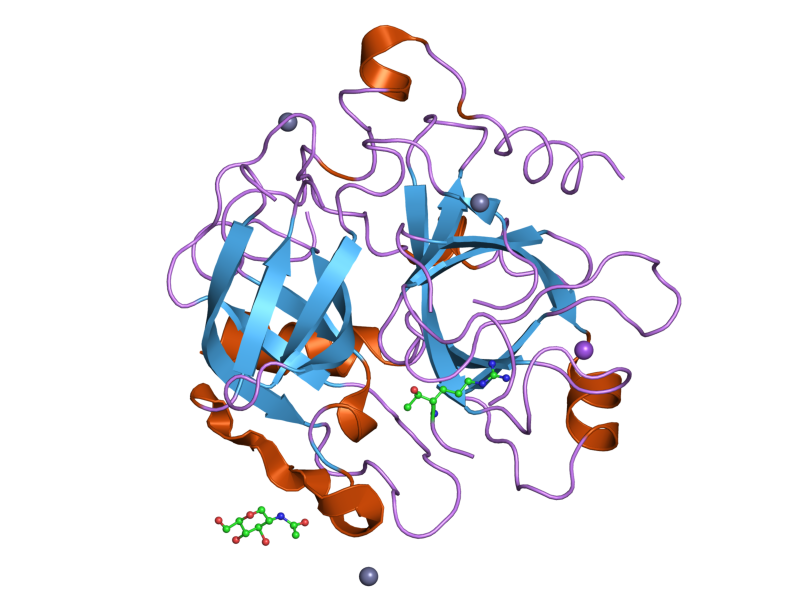 File:PDB 1z8j EBI.png