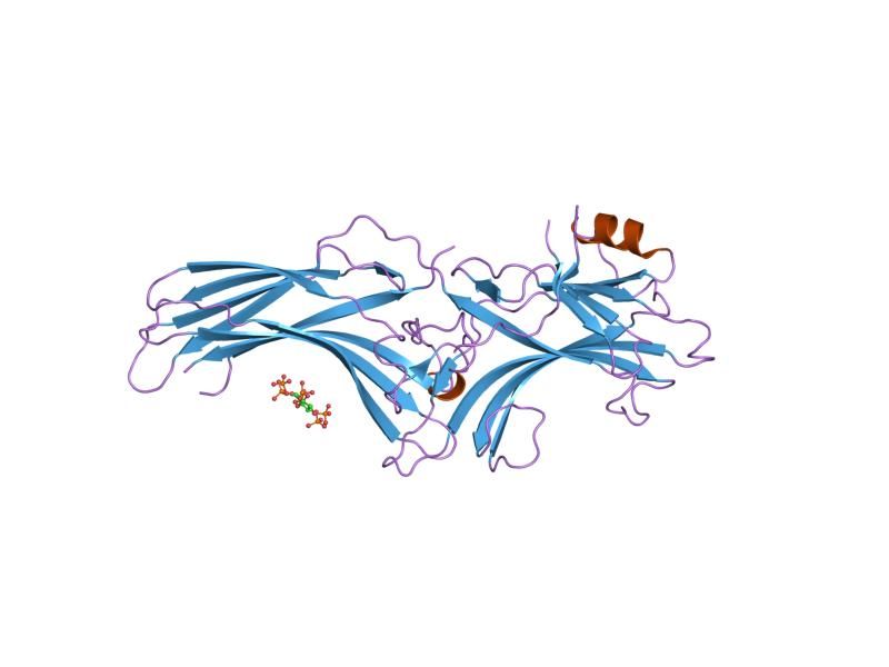 File:PDB 1zsh EBI.jpg