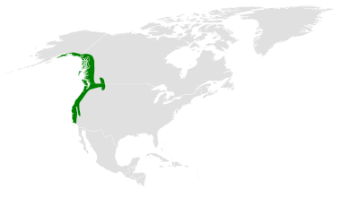 File:Poecile rufescens distribution map.png