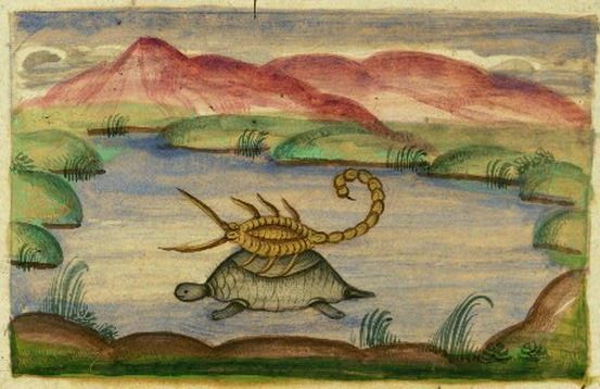 File:Tortoise and Scorpion.jpg