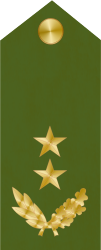 File:Cuban Ejercito Revolucionario OF-7 (1970-1978).png