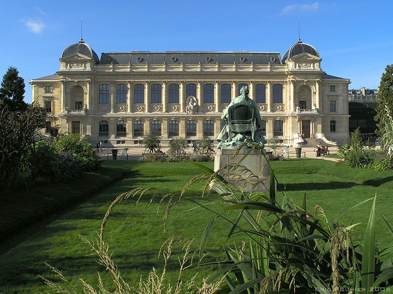 File:Grande Galerie de l'evolution.jpg